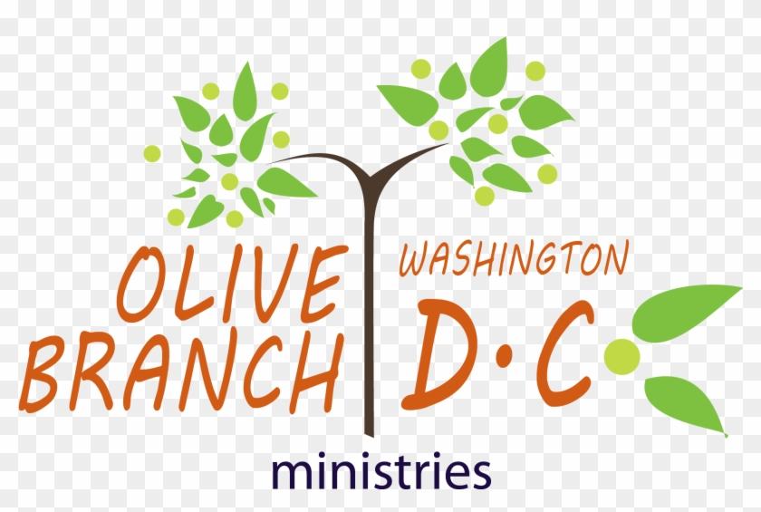 Olive Branch Washington Dc - Illustration Clipart #638550