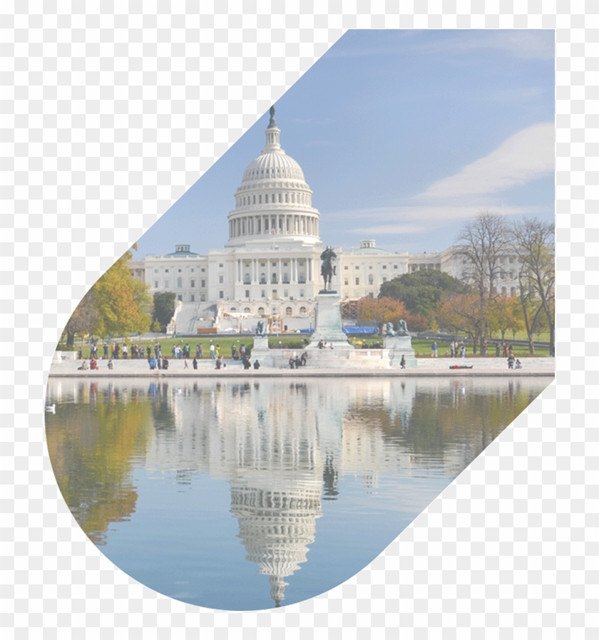 202 250 3441 Our Agents Are Available 24/7 - Washington Dc Clipart #638805