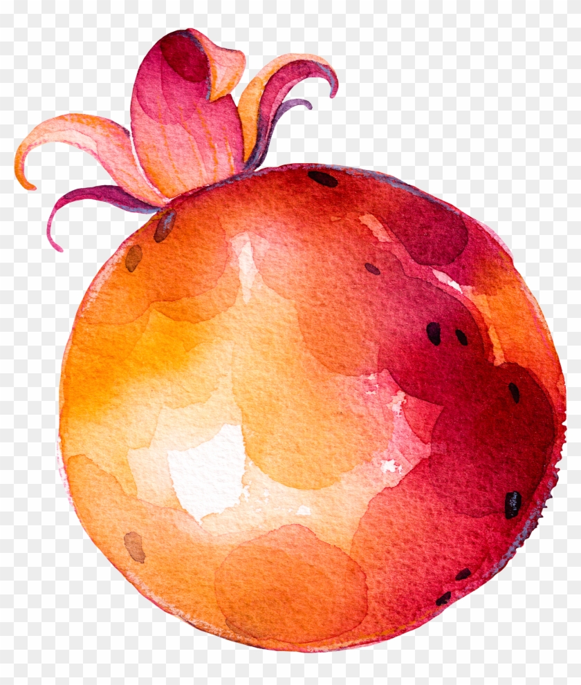 Fruit Vegetable Drawing Clipart #639145