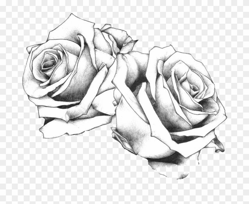 Tattoo Flash Art Drawing Rose Free Frame Clipart - 4 Rose Tattoo Design - Png Download