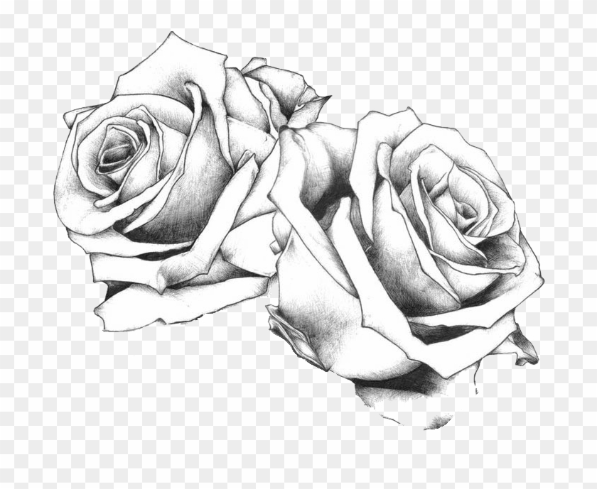 Tattoo Flash Art Drawing Rose Free Frame Clipart - 4 Rose Tattoo Design - Png Download #639510