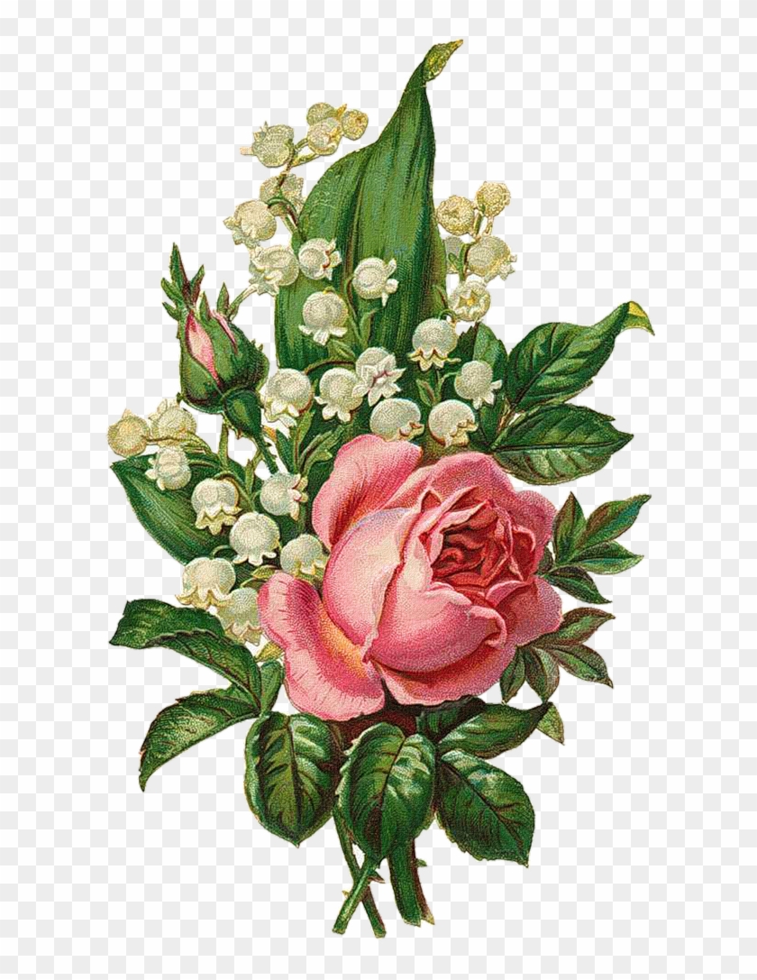 Clipart Free Download Png Vintage Roses Scrap And Decoupage - Rose And Lily Of The Valley Drawings Transparent Png #639633