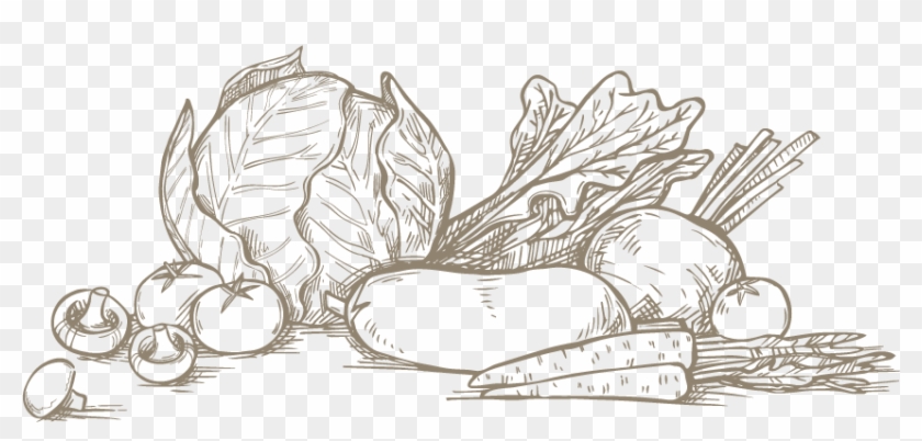Fruit, Vegetables, Flowers - Fruits And Vegetables Sketch Clipart