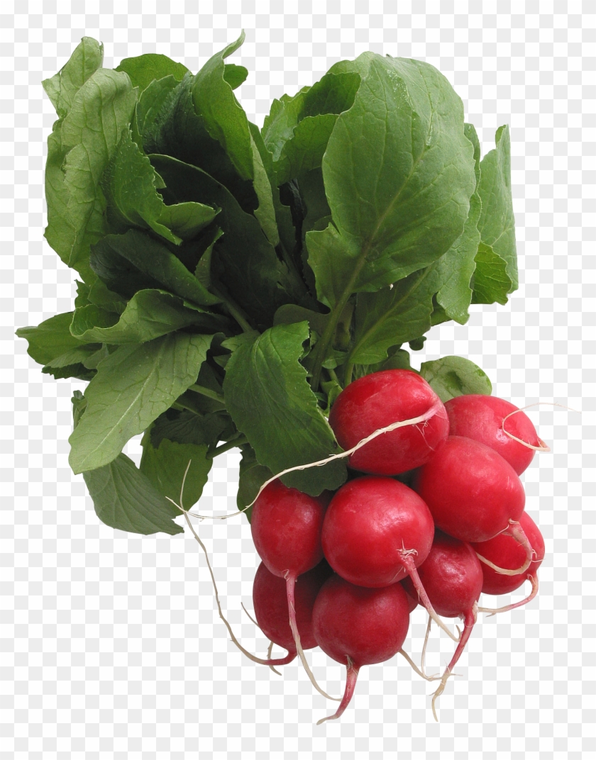 Radish Png - Radishes Png Clipart #640266