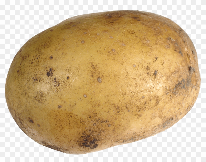 Vegetables - Potato Png Clipart