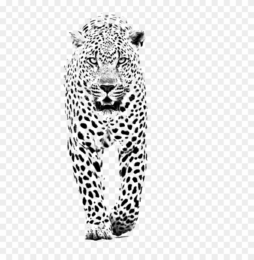 600 X 852 3 - Leopard Tattoo Designs Clipart