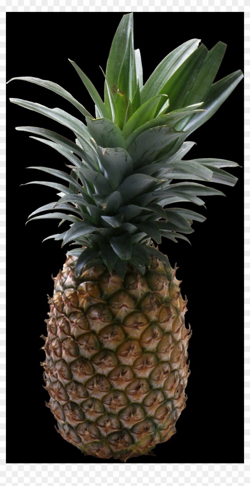 Pineapple With No Background Clipart #640940