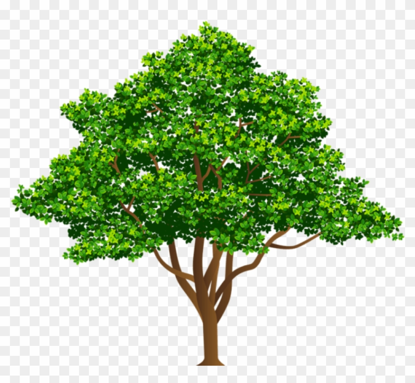 Free Png Download Tree Free Png Images Background Png - Tree Png Clipart #641226