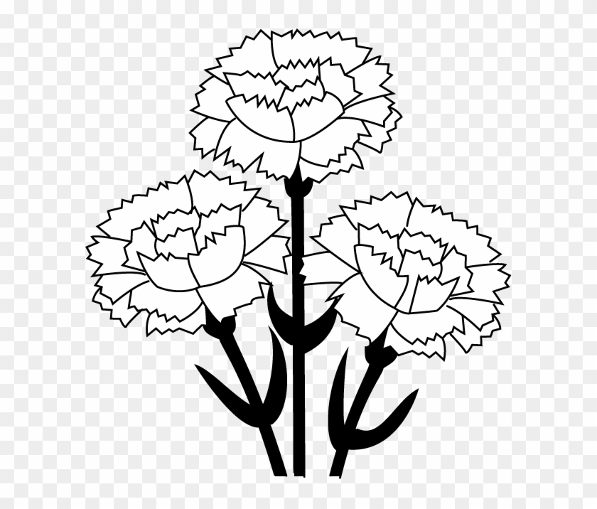 Carnation Clip Art - Carnation Flower Clipart Black And White - Png Download #641303