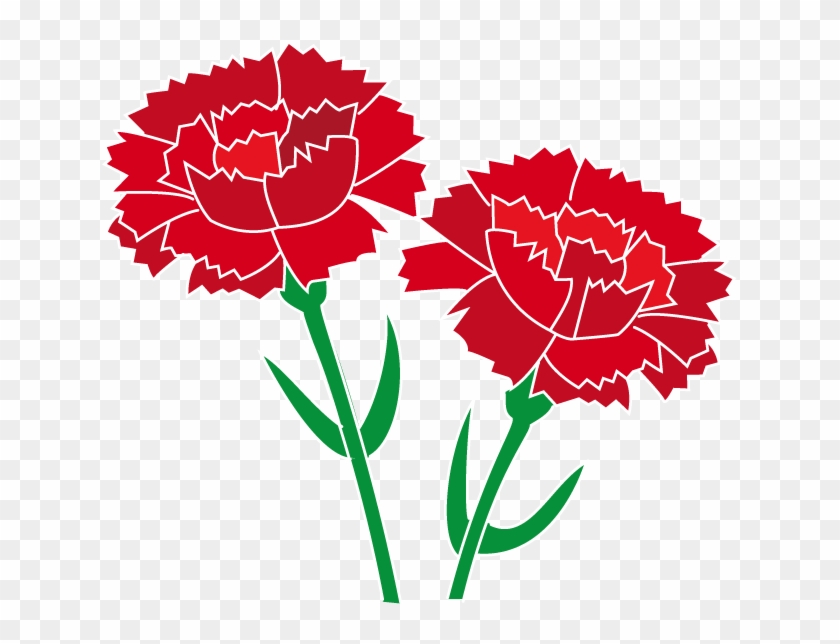 Carnation - カーネーション イラスト 無料 Clipart