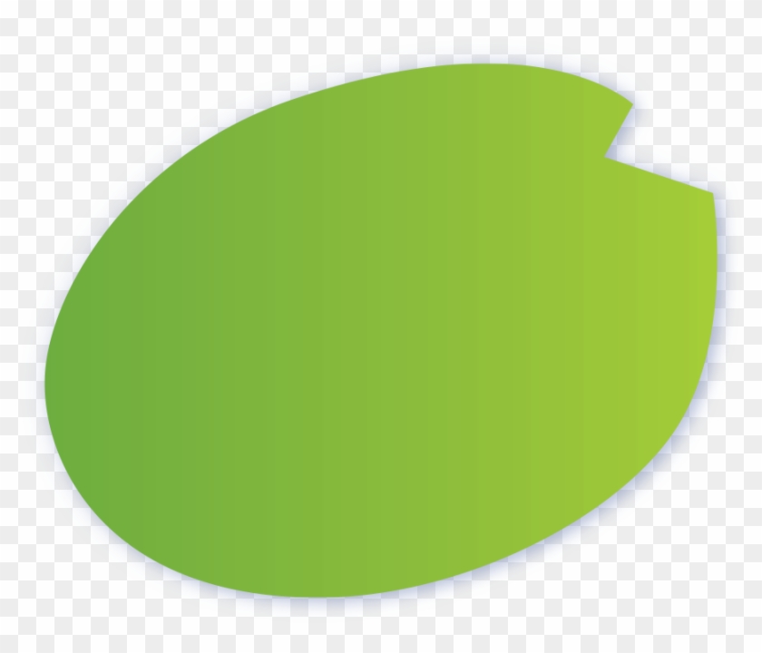 Lily Pad Clipart Pond Life - Pond Leaf Clipart - Png Download