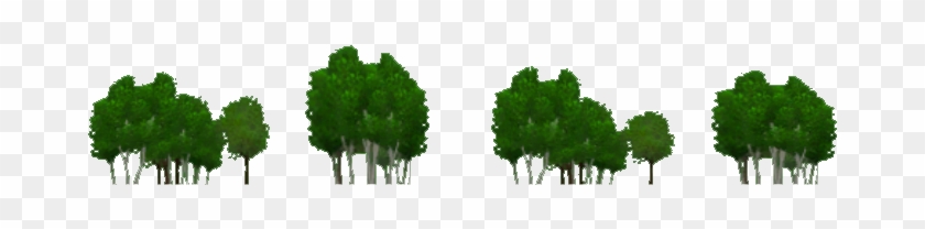 Forest Background Png Clipart