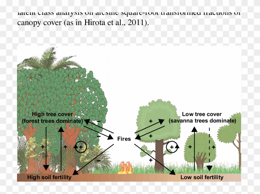 Relations Between Forest Tree Cover, Savanna Tree Cover, - Forest Fire Feedback Loop Clipart