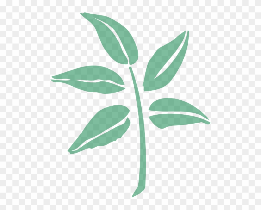 Leaf Png Clipart
