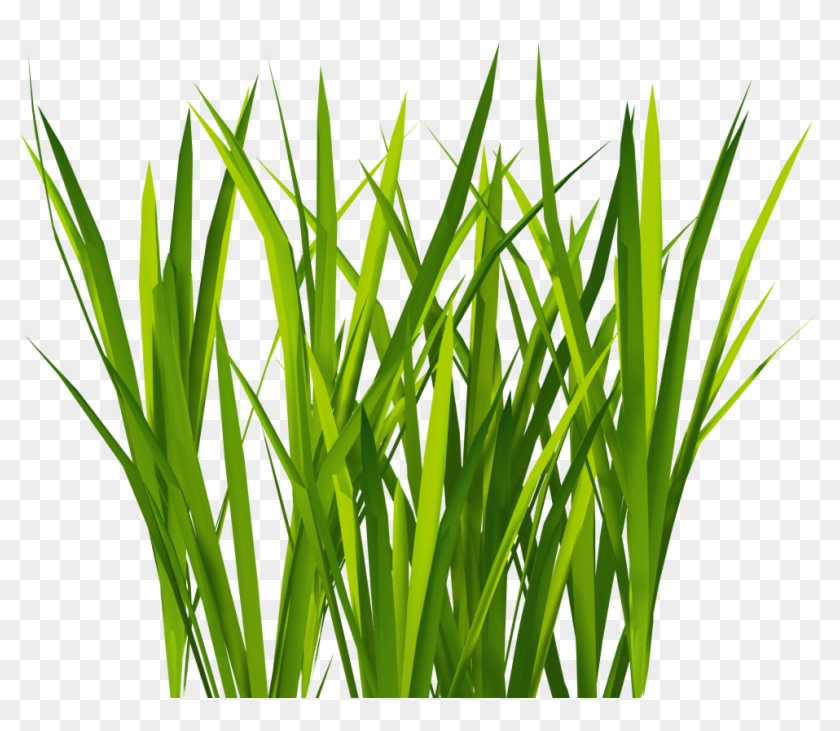 3d Gameready Textures - Grass Blade Texture Png Clipart