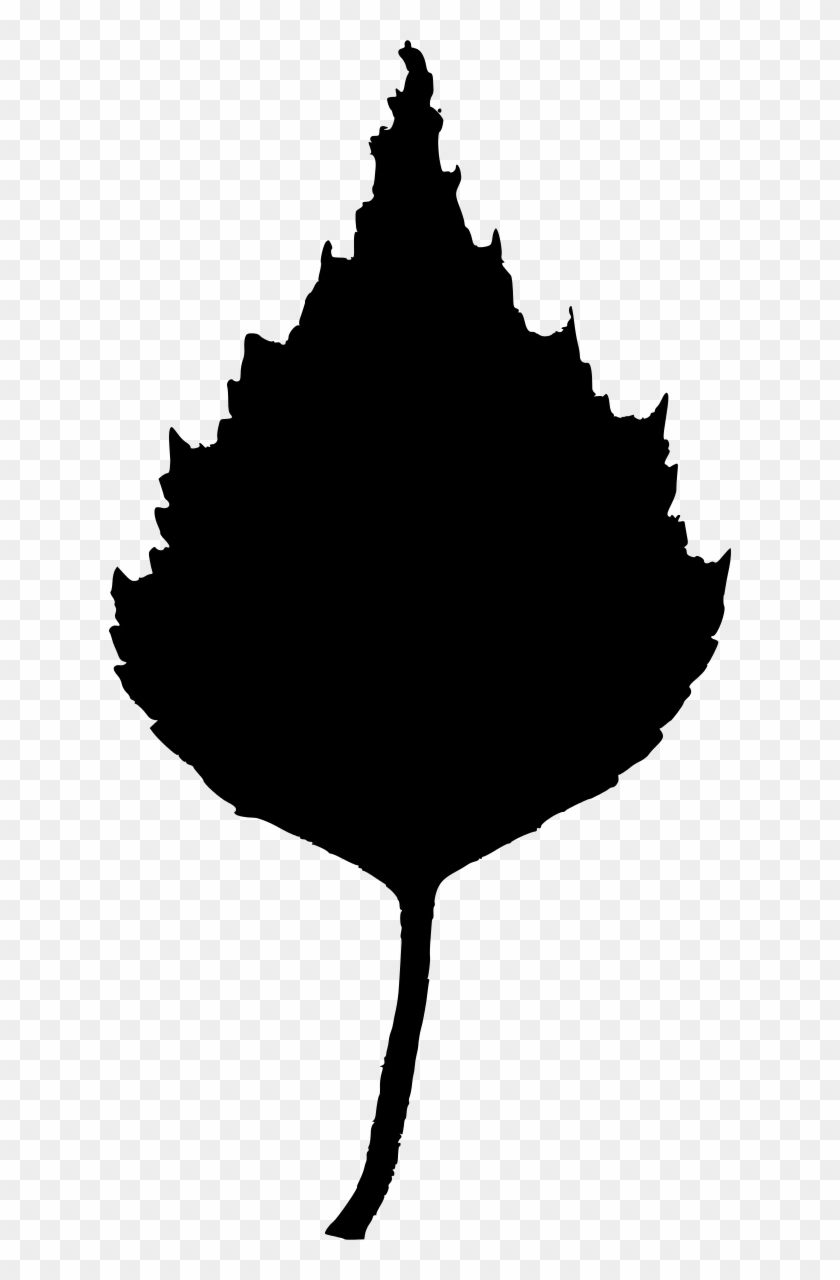 Birch Leaf Clipart - Birch Leaf Transparent Background - Png Download #642678