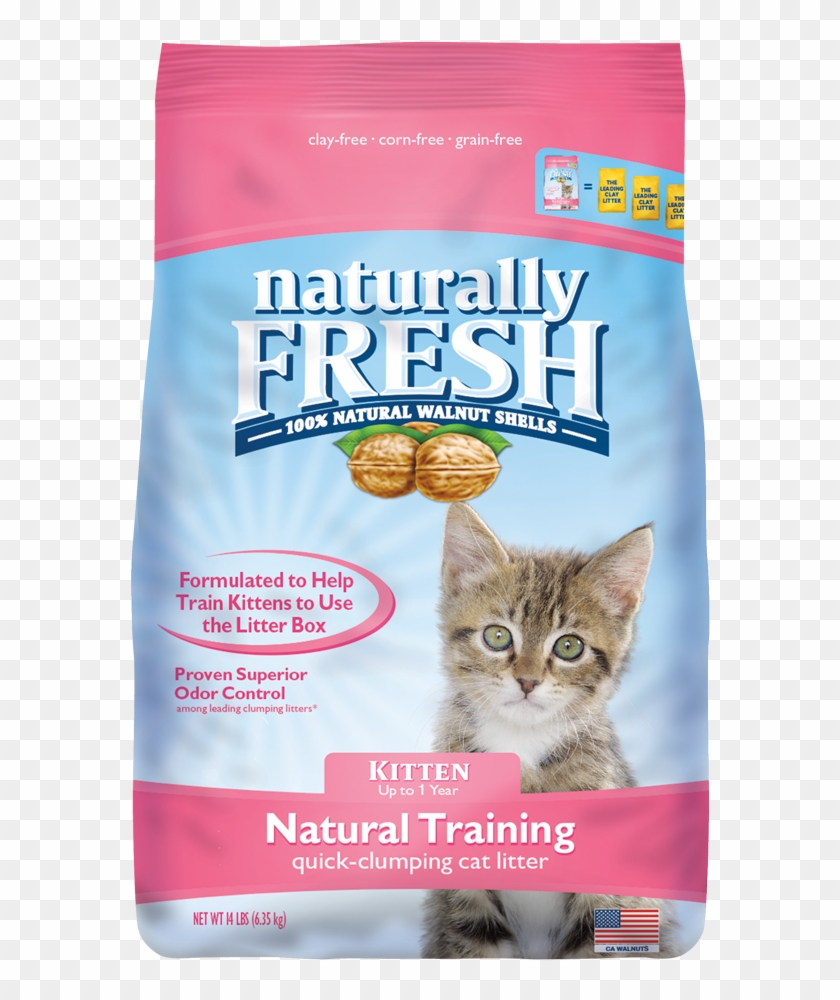 Natural Training Cat Litter - Litter Box Clipart #643469