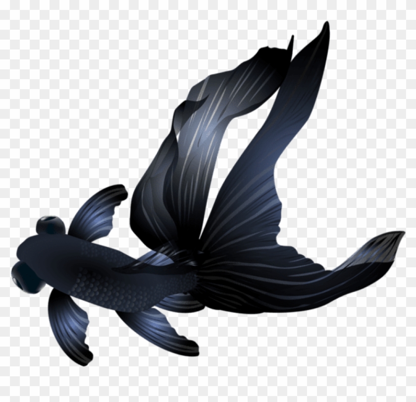 Free Png Download Black Goldfish Clipart Png Photo - Black Goldfish Transparent Background #643653