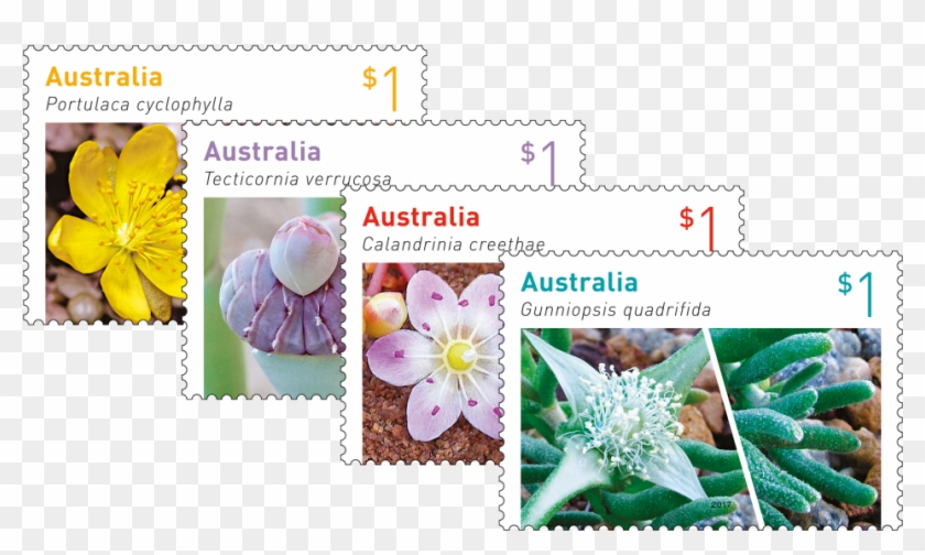 Australian Succulents Set Of Stamps - Australian Stamps 2017 Clipart #643799