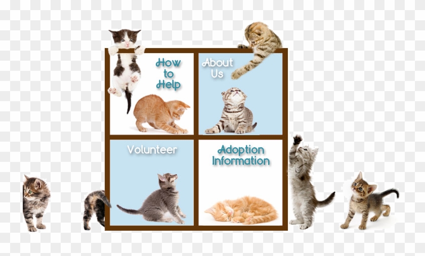 Cat Grabs Treat Clipart #643971