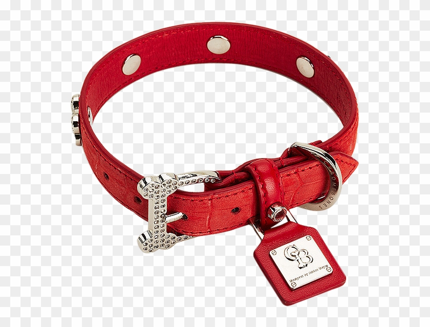 Dog Collar Png Photo - Red Dog Collar Transparent Clipart #644177