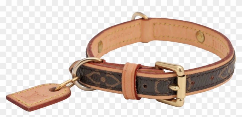 Dog Collar Png Images - Ремешок Пнг Clipart