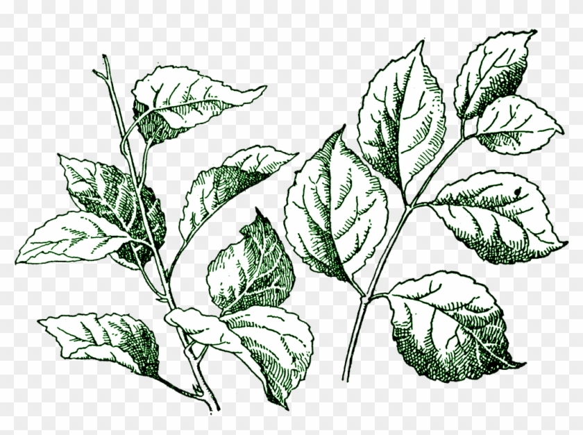 Digital Stamp Gorgeous Cake Ideas And Designs - Leaf Stamp Png Clipart