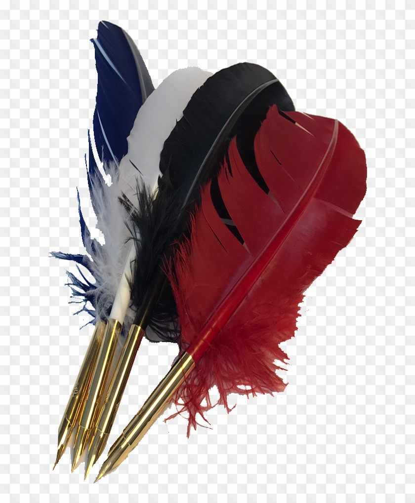 Assorted Colors Quill, White Blue Black Red - Graphic Design Clipart
