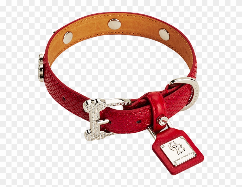 Dog Collars For High-end Luxury And Comfort - Transparent Dog Accessories Png Clipart #644794