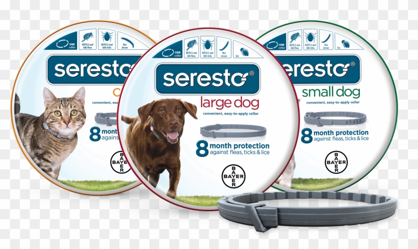 Seresto Large Dog Collar - Seresto Dog Collar Clipart #644853