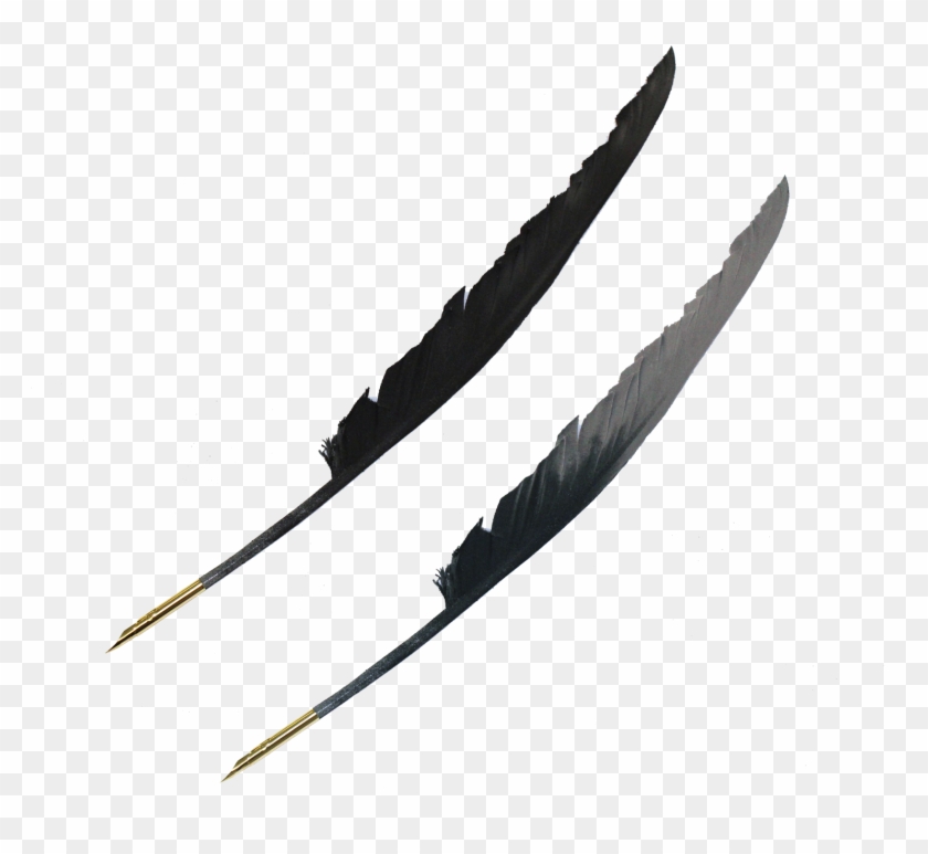 The Quill - Weapon Clipart