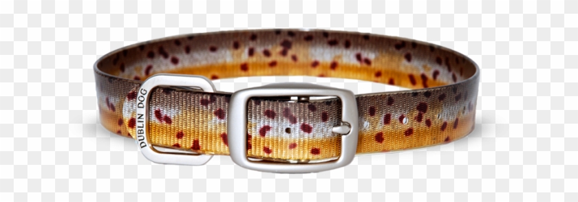 Brown Trout - Dublin Dog Brown Trout Clipart #645517