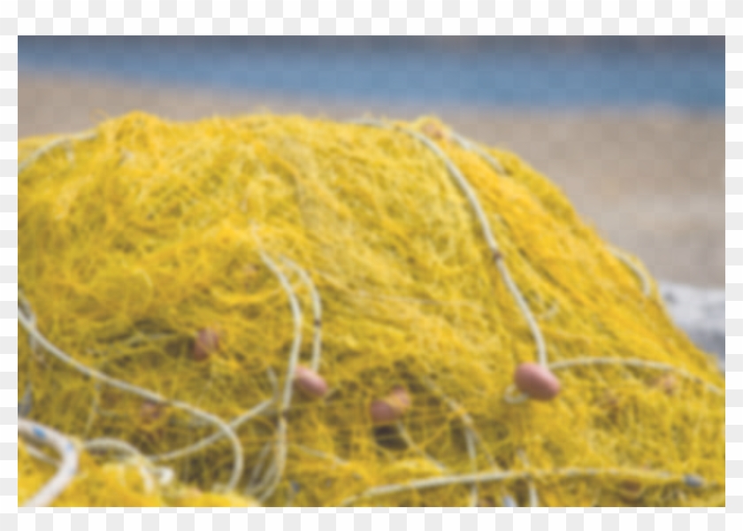 Contact Us - Wool Clipart