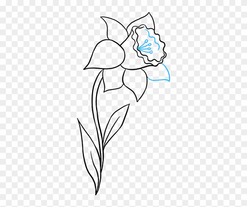 680 X 678 5 - Easy Daffodil Line Drawing Clipart #646716