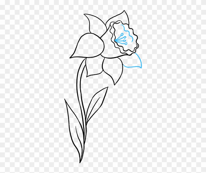 680 X 678 5 - Easy Daffodil Line Drawing Clipart