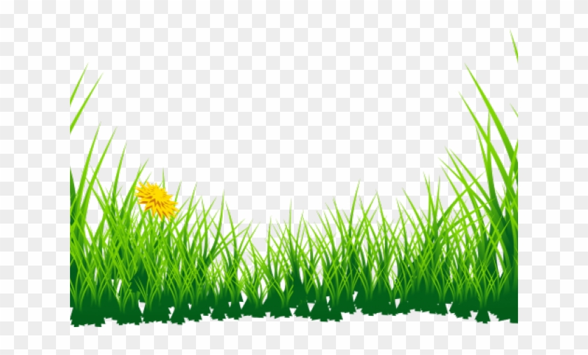 Daffodils Clipart Grass - Grass Images Png Hd Transparent Png