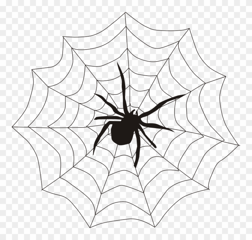 Spider Web Corner Transparent - Spider In A Web Drawing Clipart