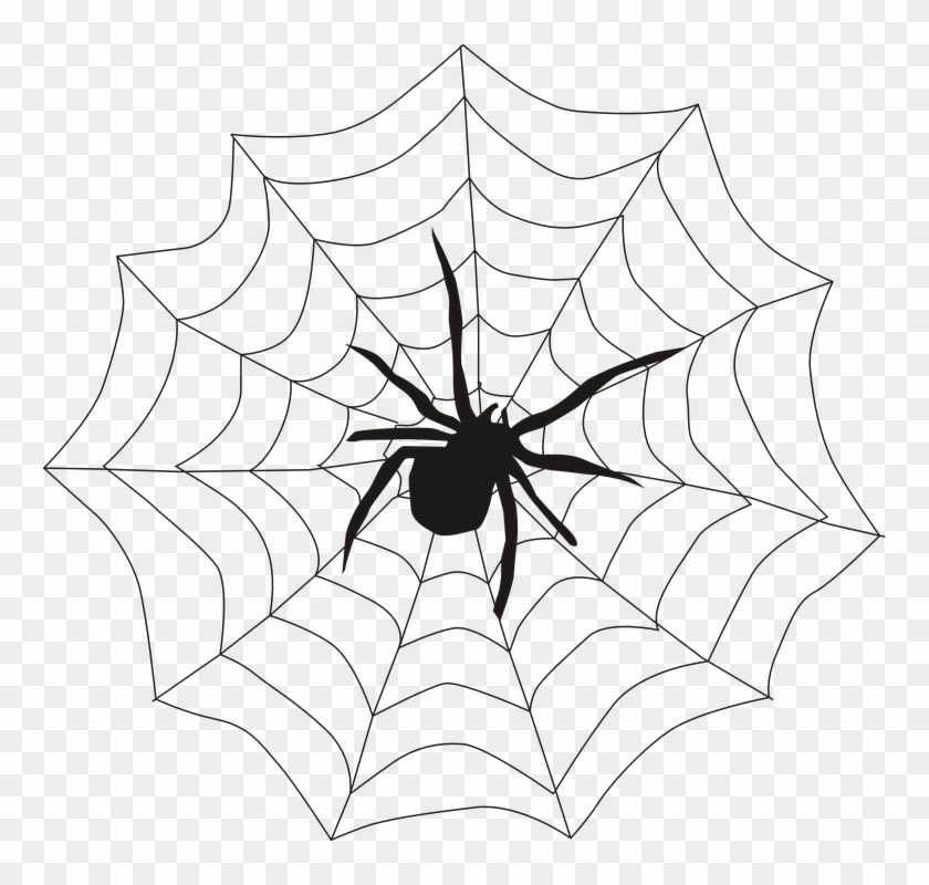 Spider Web Corner Transparent - Spider In A Web Drawing Clipart@pikpng.com
