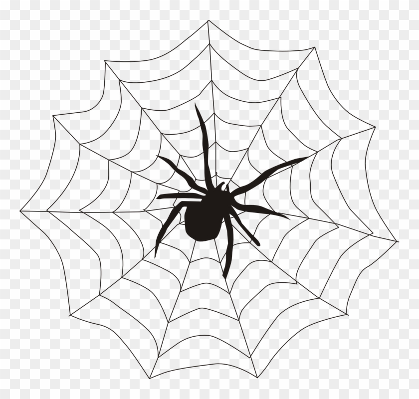 Spider Web Corner Transparent - Spider In A Web Drawing Clipart #646934