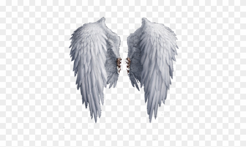 Angel Wings Png Photo - Free Png Angel Wings Clipart