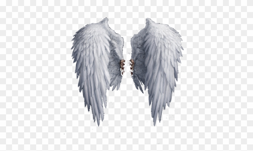 Angel Wings Png Photo - Free Png Angel Wings Clipart #647327