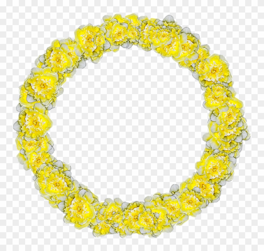 Daffodils, Circle, Narcissus, Decor, Graphics - Daffodil Circle Clipart #647666