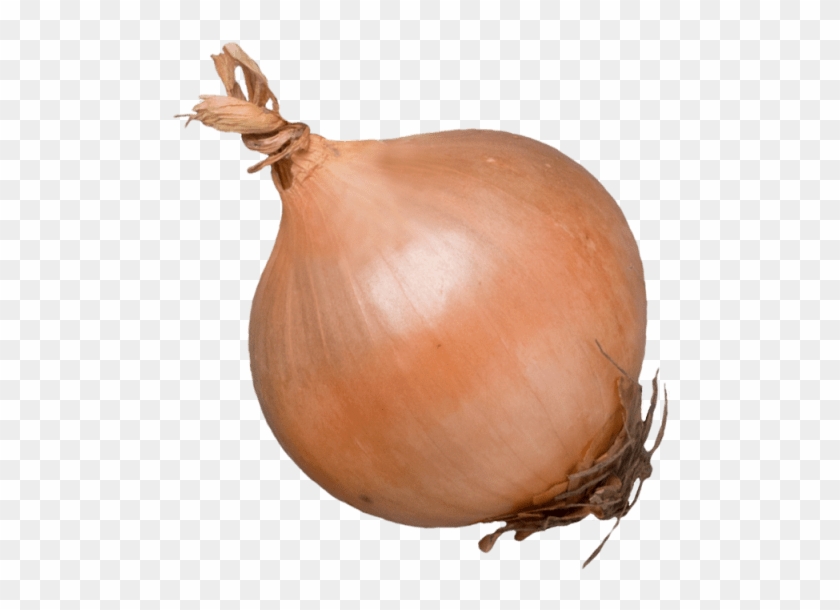 1 Unit - Yellow Onion Clipart #647781