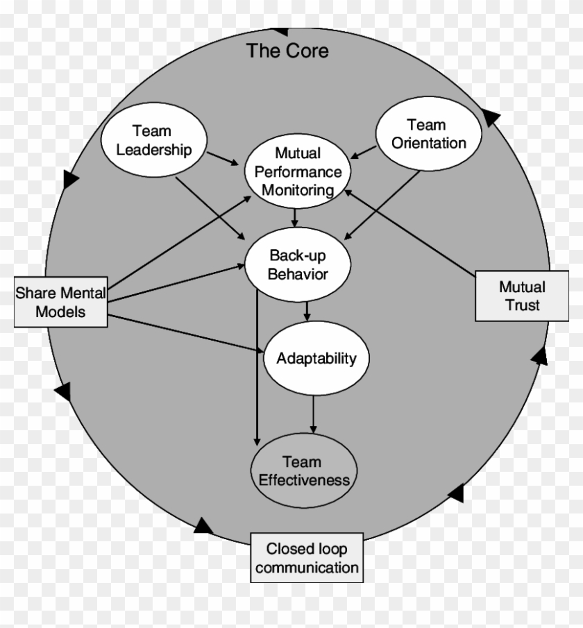 The Proposed Model Of " Big Five " In Teamwork By Salas - Circle Clipart