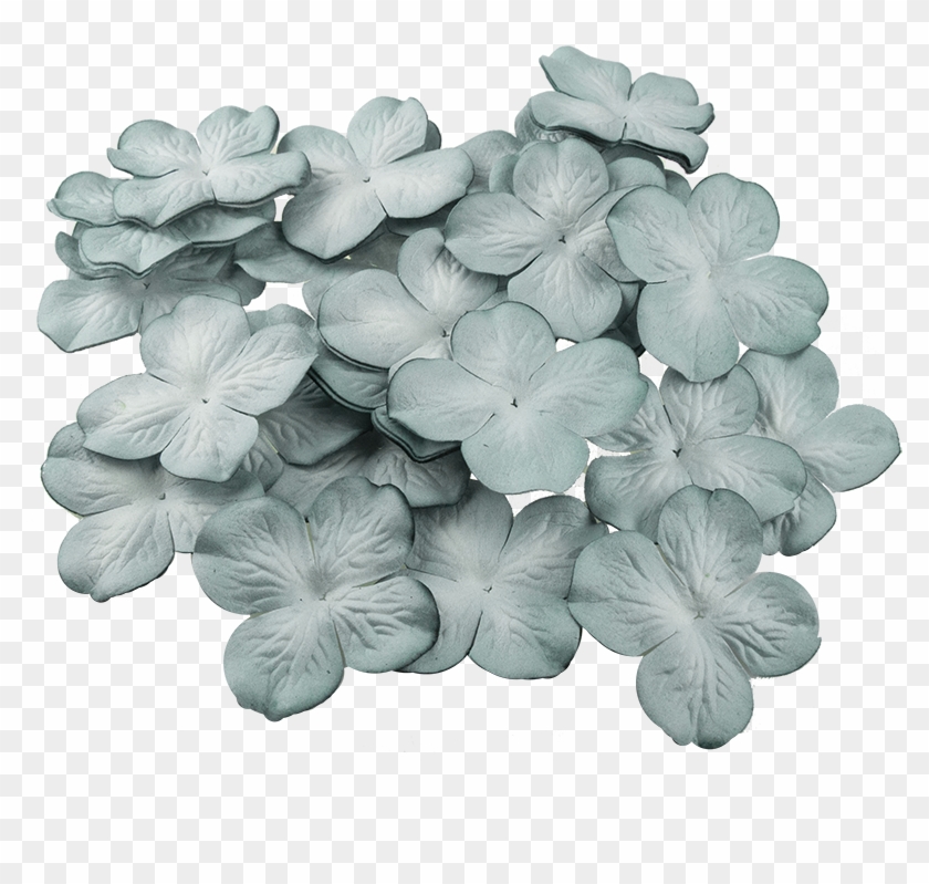 50 2-tone Cadet Blue Hydrangea Blooms Clipart #649253