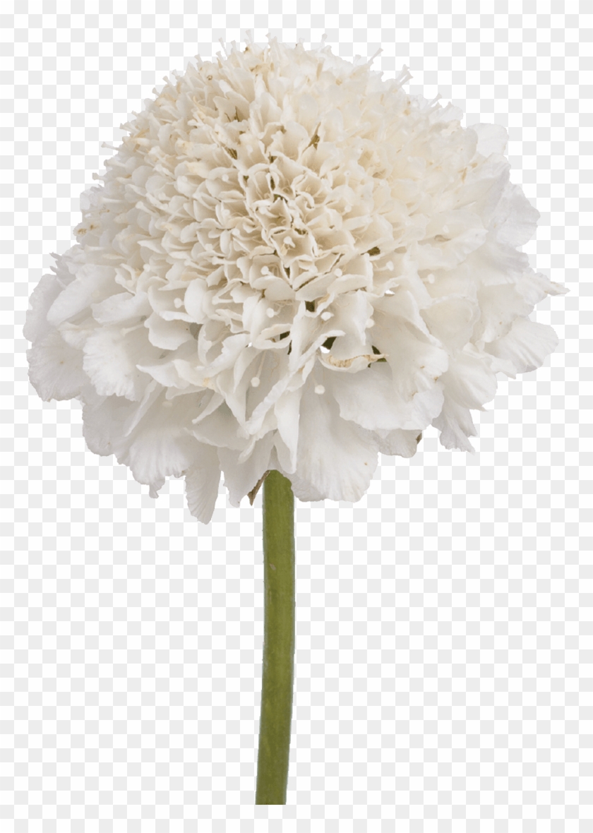 Artificial White Hydrangea , Png Download - Artificial Flower Clipart #649425
