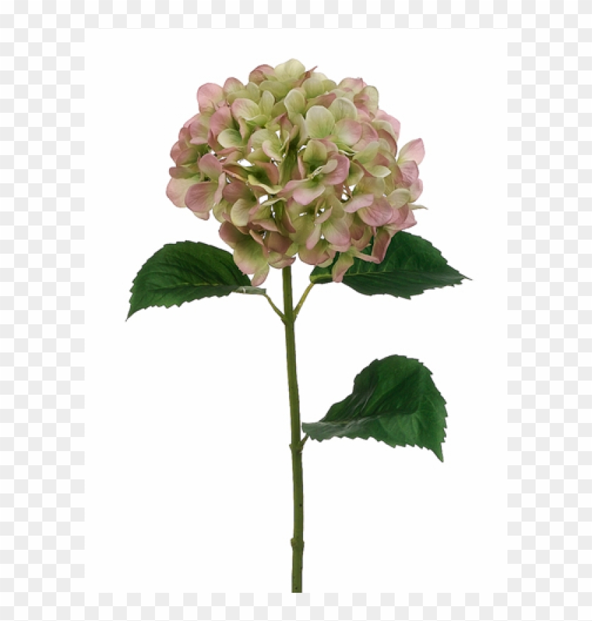 31" Hydrangea Spray Green Pink - Artificial Flower Clipart