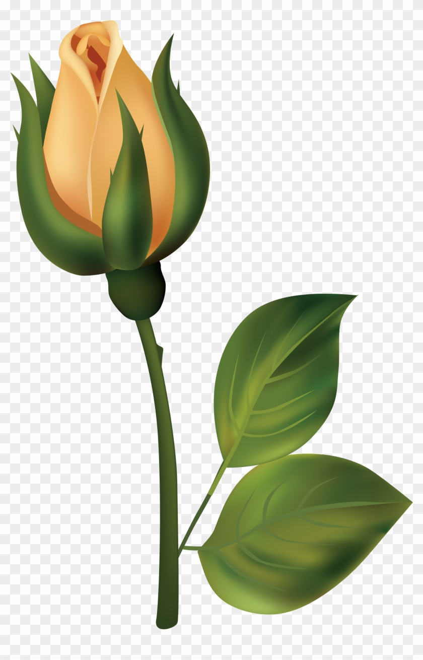 Yellow Rose Bud Png Clipart - Capullo De Rosa Dibujo Transparent Png #651099