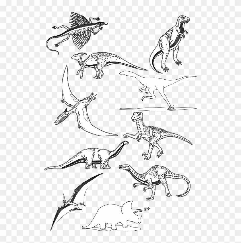 555 X 785 16 - Jurassic World Evolution Drawing Clipart #651820