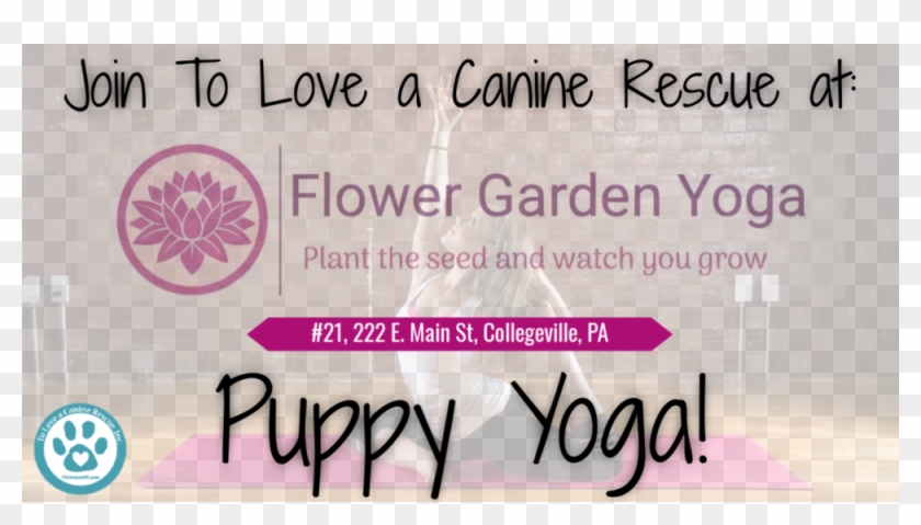Puppy Yoga - 5sosfam Clipart #652080